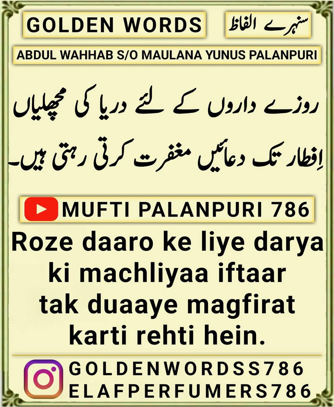 FB IMG 1743295007339