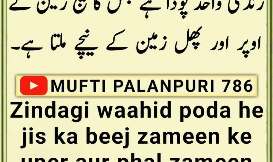 Chamakte Moti