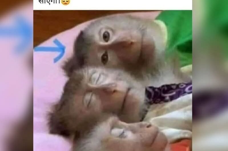 Chamakte Moti