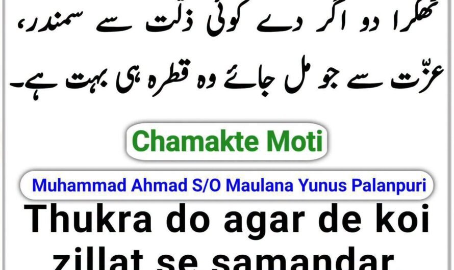 Thukra do agar de koi…