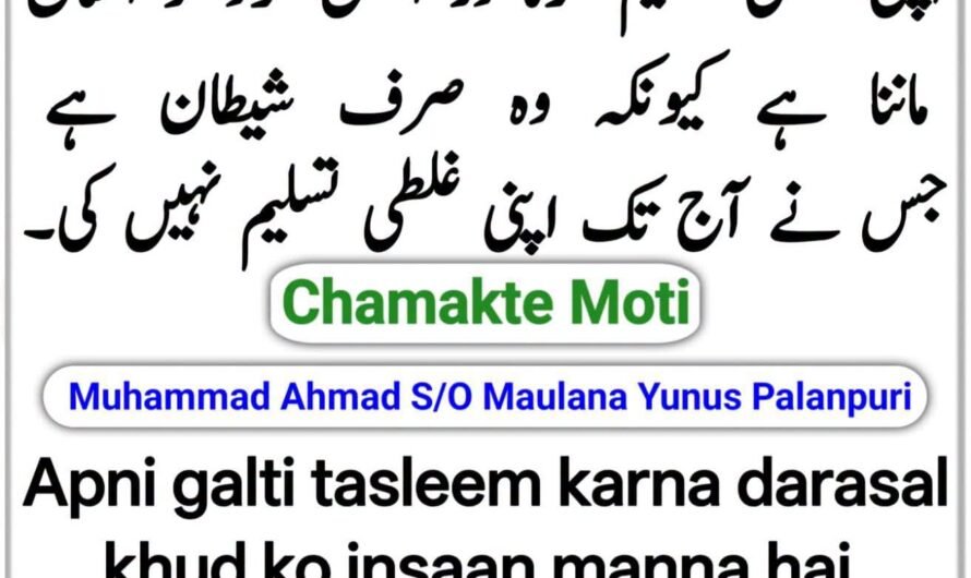 Apni galti tasleem karna…