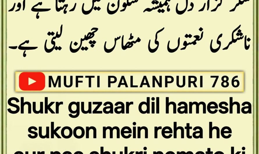 Shukr guzar dil hamesha…