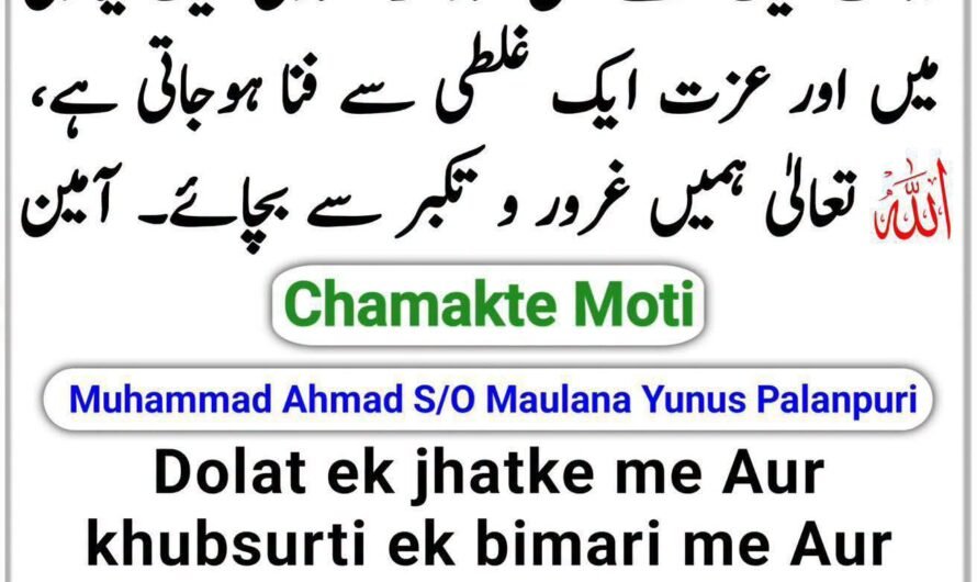 Dolat ek jhatke me…