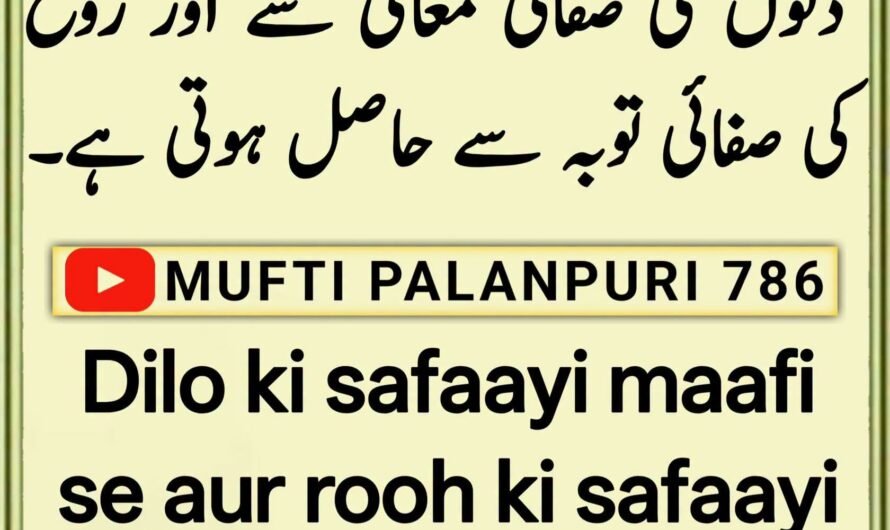 Dilo ki safaayi…