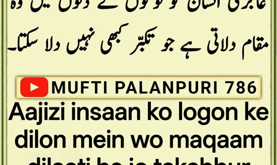 Aajizi insaan ko logon…