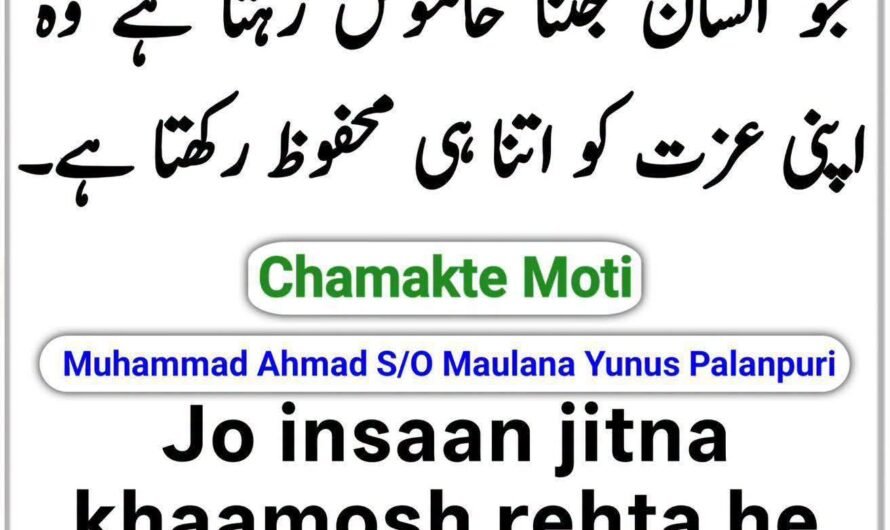 Jo insaan jitna…